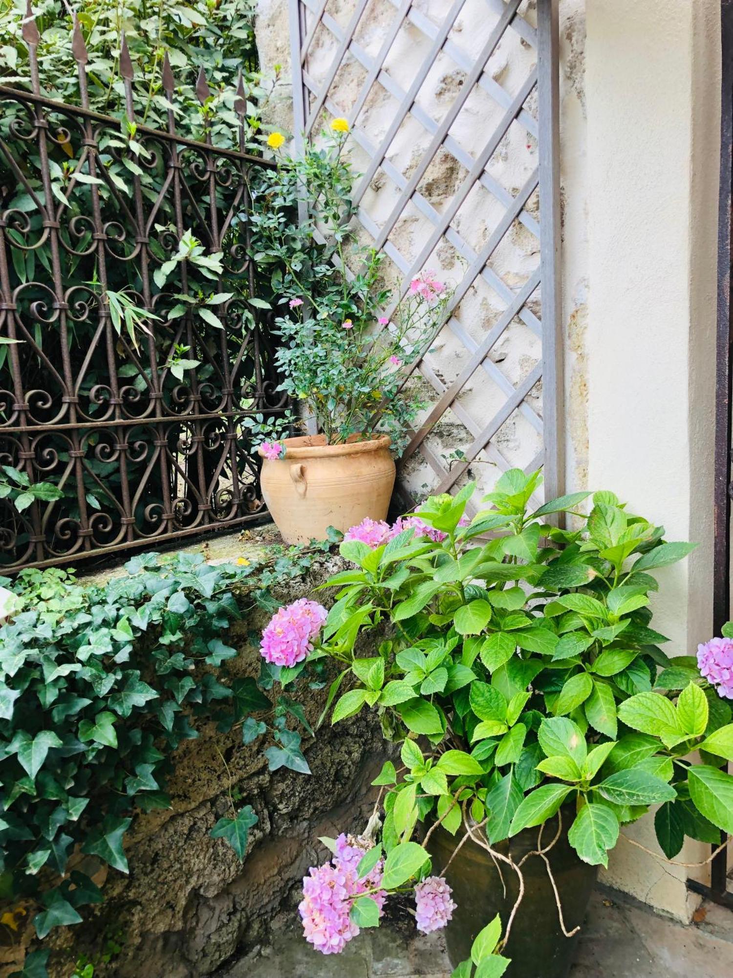 מלון Pézenas Au Bout Du Pre מראה חיצוני תמונה